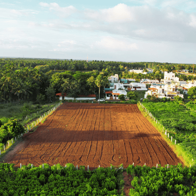 Mountain View Development