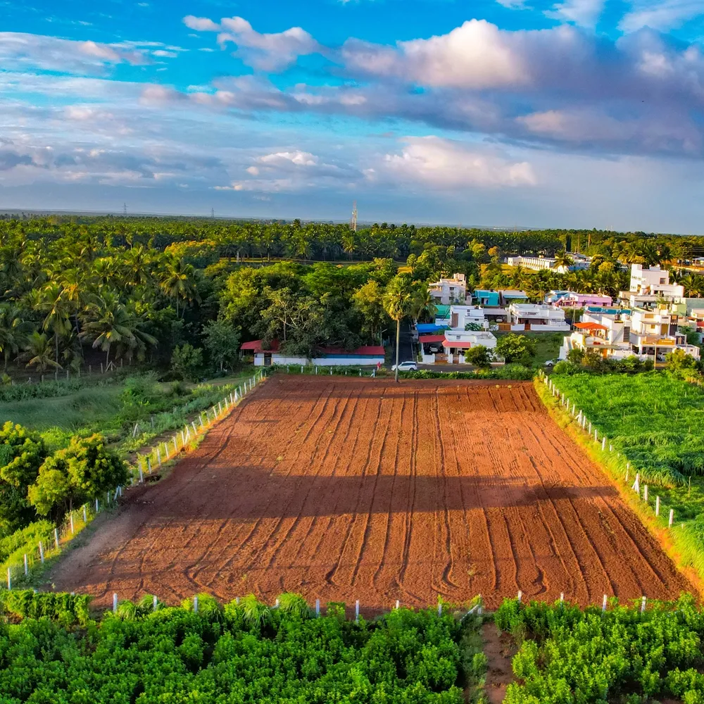 Scenic Farm Land Layout