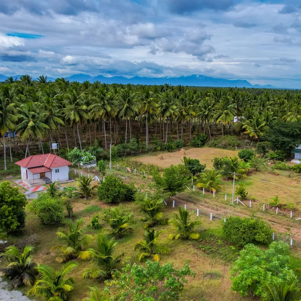 Eco-Friendly Development