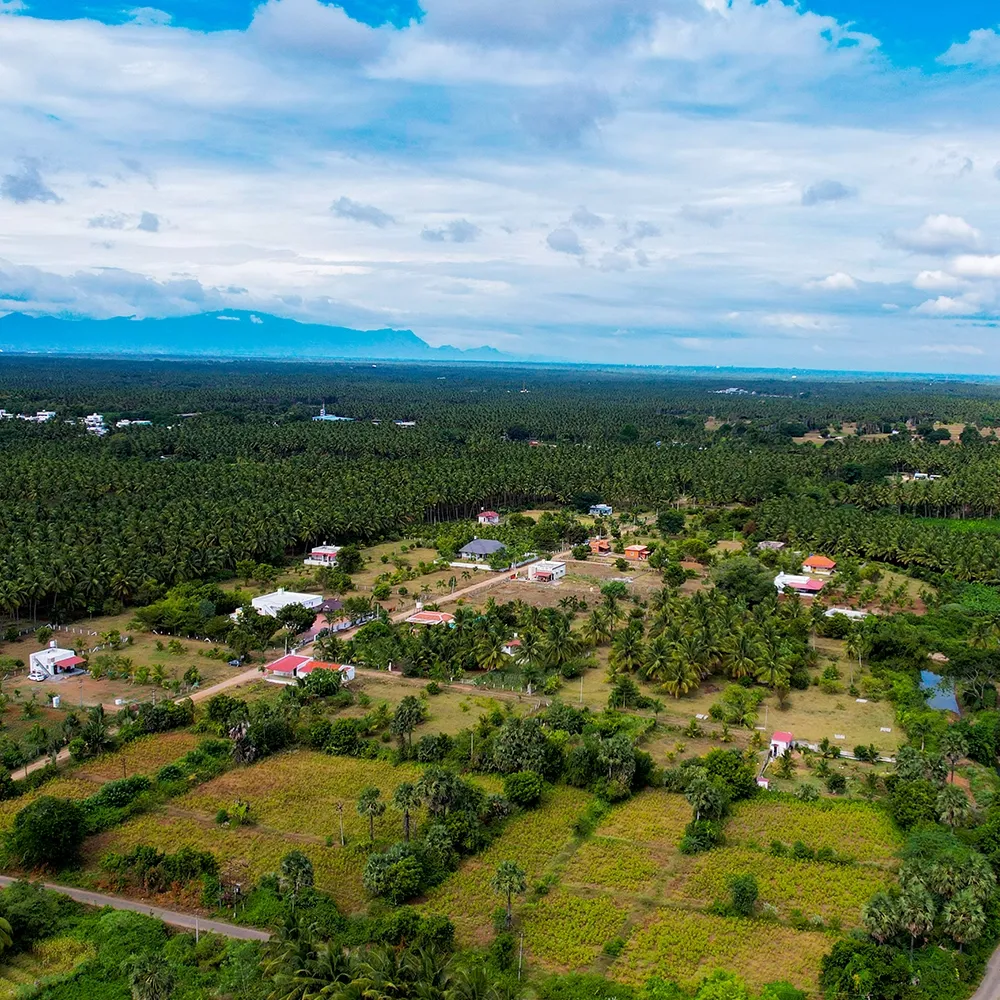 Land Plot Promotion